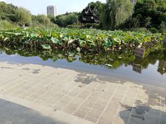 -花溪公园