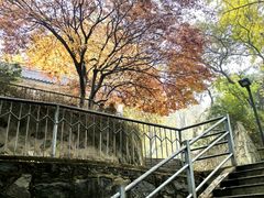 -西安市纺织公园