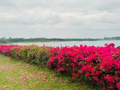 -露天矿生态公园