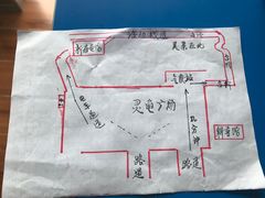 -广东惠东海龟国家级自然保护区