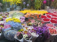 -朝来春花卉市场