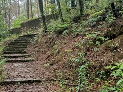 -铁山坪森林公园