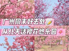 -天适樱花悠乐园