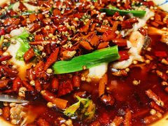-辛香汇·现炒川菜(城北万象城店)