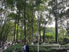 -绵阳人民公园(涪城区)