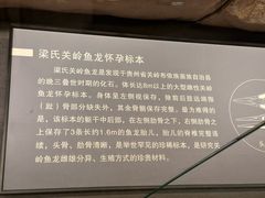 -贵州省地质博物馆