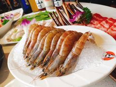 -川西坝子(苏州城市生活广场店)