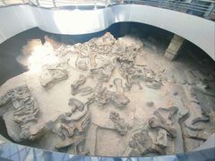 -自贡恐龙博物馆