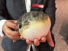 -永安鱼庄·镇江菜(东吴路店)