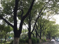 -蠡湖大桥公园