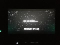 -CGV影城(东方广场4DX店)