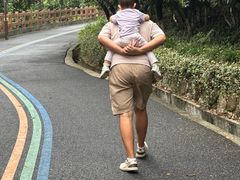 -杭州半山国家森林公园