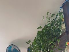 -蜀膳坊(洪公祠小区店)