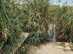 -绿堤公园