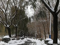 -丁香湖公园