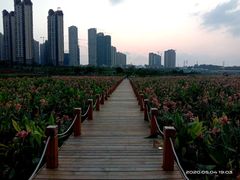 -那考河湿地公园
