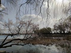 -颐和园