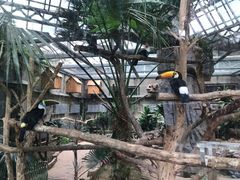 -大连森林动物园