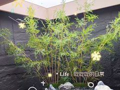 -宫七SPA·高端Massage(浦东大道店)