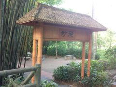-大屏嶂森林公园