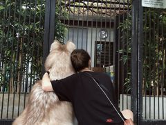 -TrueLove @ Neverland (Husky Cafe)