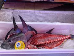 -大起水产回转寿司(道顿堀店)