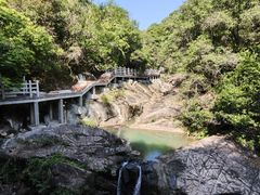 -广州白江湖森林公园