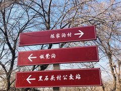 -鬼笑石后山停车场