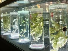 -广东中医药博物馆