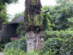 -大妙火锅·非物质文化遗产(东湖公园店)