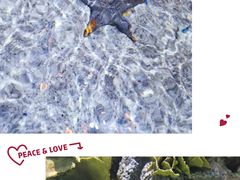 -暹罗海洋世界