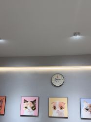 -洗脸猫·洗脸吧