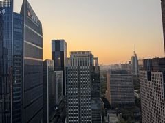 -广东惠东海龟国家级自然保护区