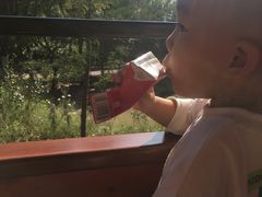 -合肥滨湖国家森林公园