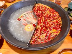 鸳鸯锅-阳阳老火锅(小南门店)