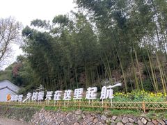 -莫干山风景区