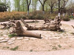 -洨河生态公园