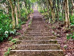 -梧桐山风景名胜区