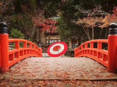 -醍醐寺