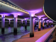 -演武大桥观景平台