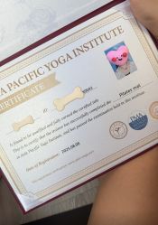 -亚太瑜伽普拉提学院