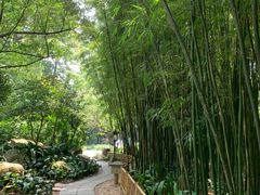 -广州兰圃