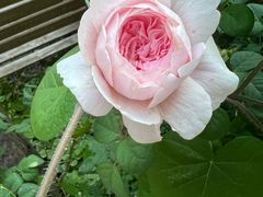 -三仟津花园咖啡馆