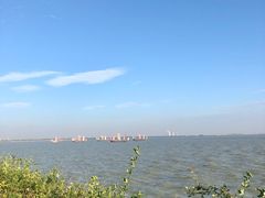 -贡湖湾湿地公园