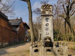 -灵谷景区