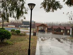 -黄海国家森林公园