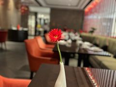 -玥轩YUE HIN(IFS国际金融中心店)