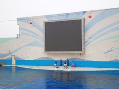 -北戴河圣蓝海洋公园