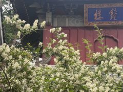 -潭柘寺景区