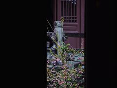 -慧因高丽寺